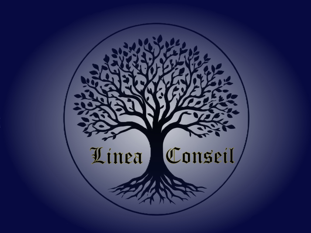 Logo Linea Conseil